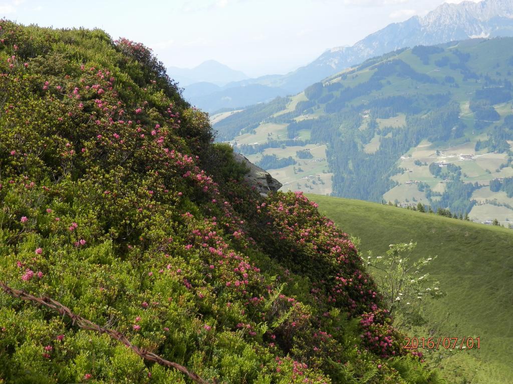 Pension Sporer Westendorf Esterno foto